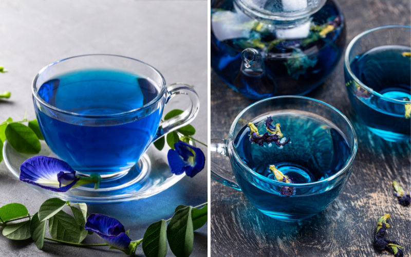 Discovering Wellness What Is Blue Lotus Tea Good for and Its Ethereal Benefits