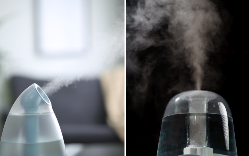 Is Warm or Cool Mist Humidifier Better for Sinuses? Unbiased Insights