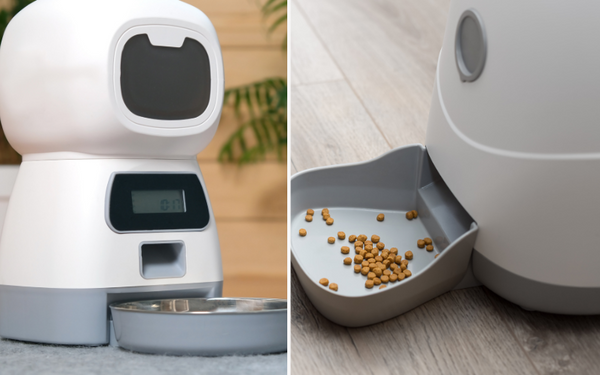 Are Automatic Feeders Good for Dogs? Unveiling the Truth!